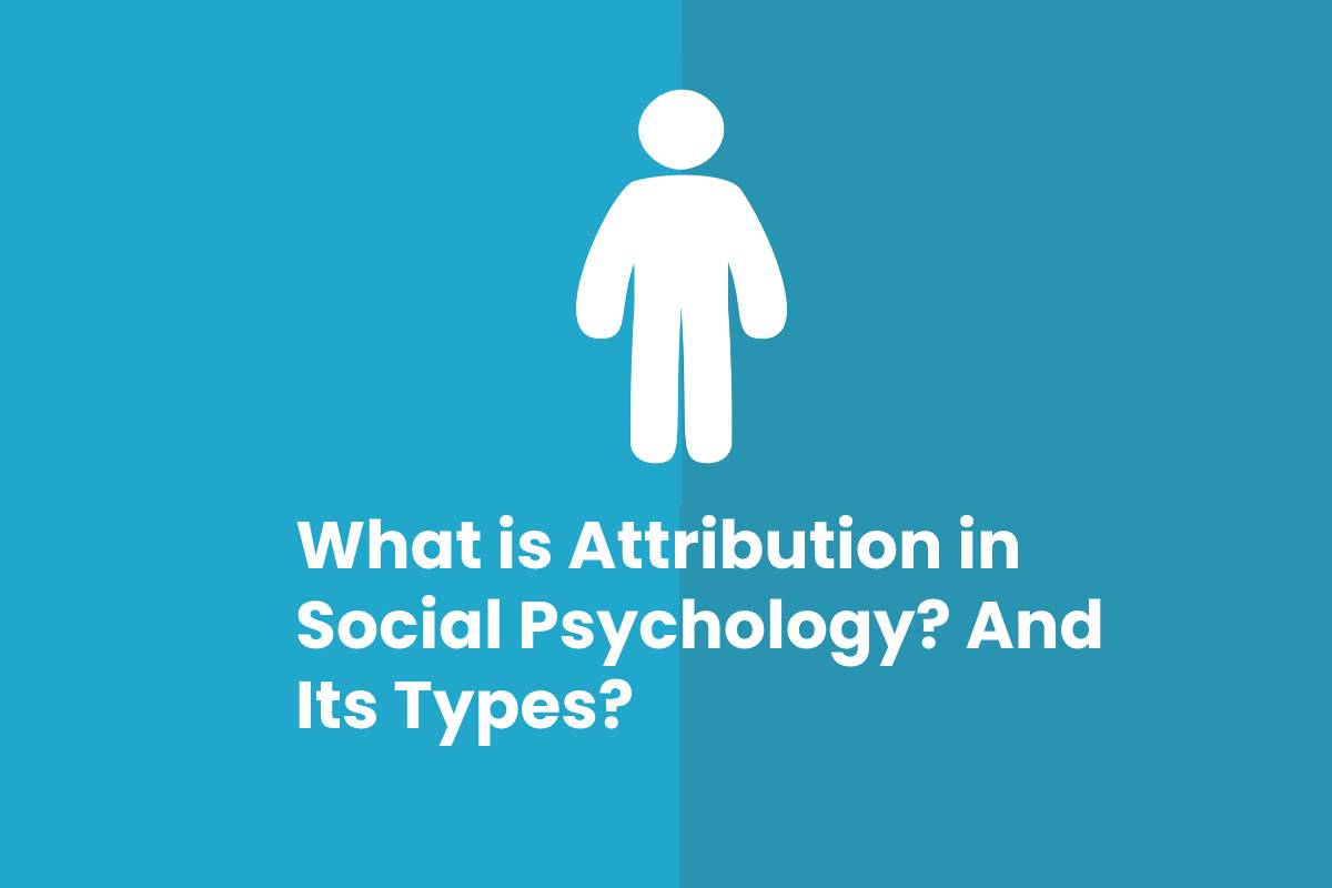 What is Attribution in Social Psychology? And Its Types?