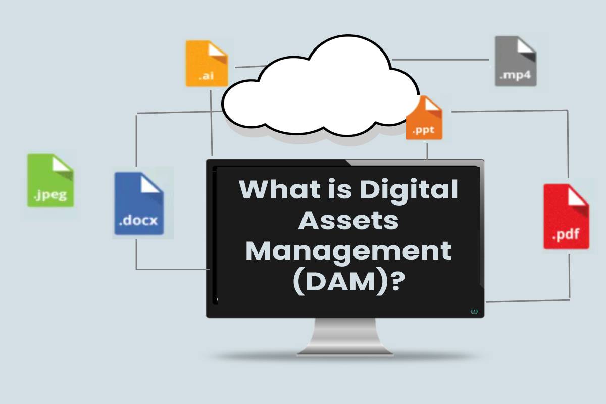 What is Digital Assets Management (DAM)?