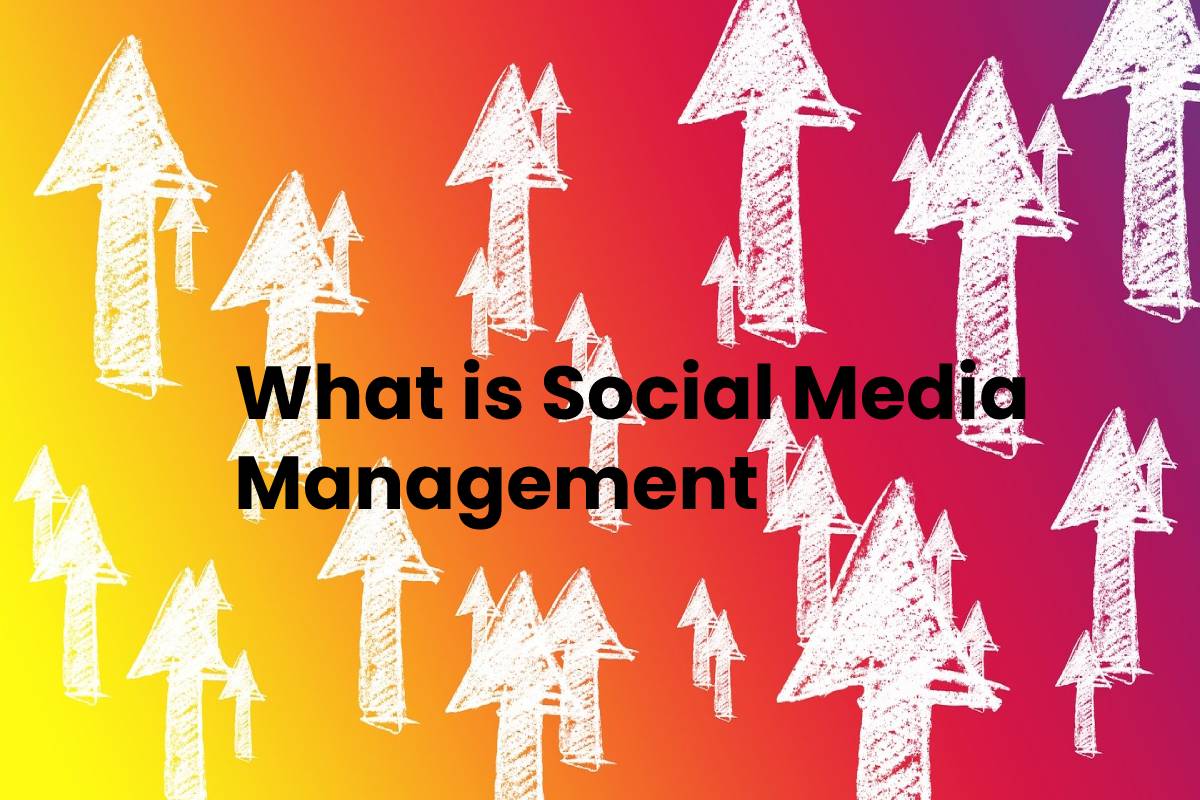 What is Social Media Management