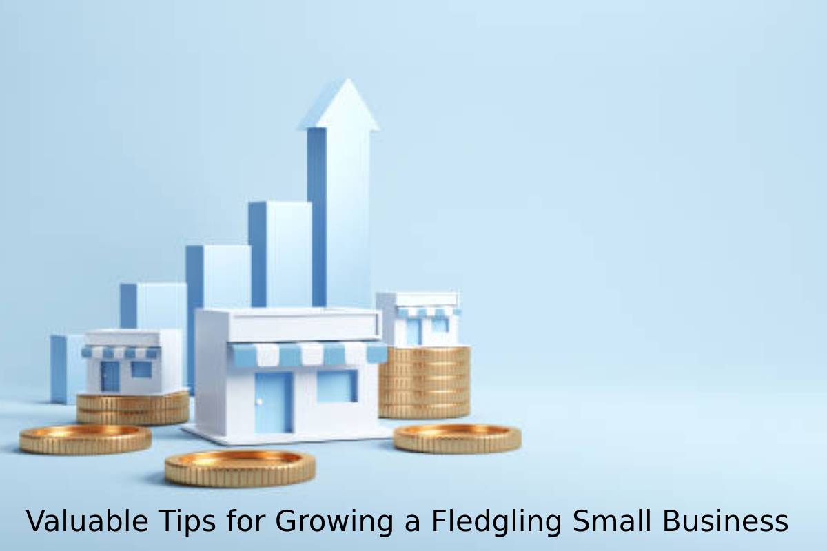 Valuable Tips for Growing a Fledgling Small Business