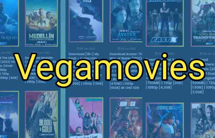 How Does Vegamovies Work_