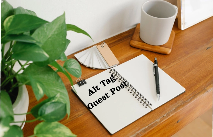 Alt Tag Guest Post